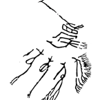 スクリーンショット 2015-12-01 17.17.03