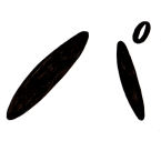 スクリーンショット 2015-12-01 17.12.53