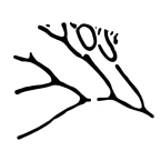 スクリーンショット 2015-12-01 19.08.37